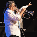 מחווה לענקי הג'אז: פרנק סינטרה ולואי ארמסטרונג - פסטיבל ניו אורלינס 2024